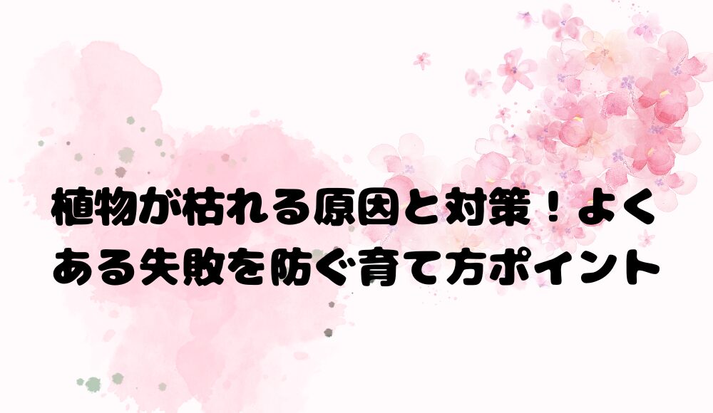 植物が枯れる原因と対策